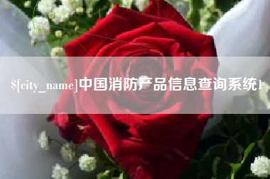 铜川中国消防产品信息查询系统1