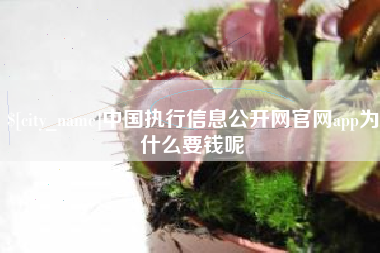 铜川中国执行信息公开网官网app为什么要钱呢