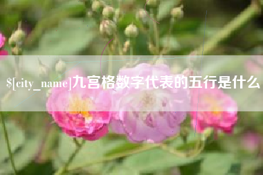 铜川九宫格数字代表的五行是什么