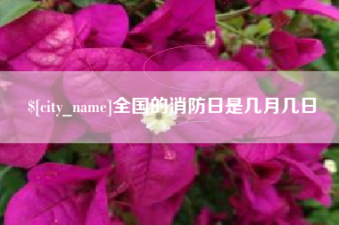 铜川全国的消防日是几月几日