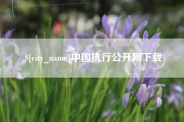 铜川中国执行公开网下载