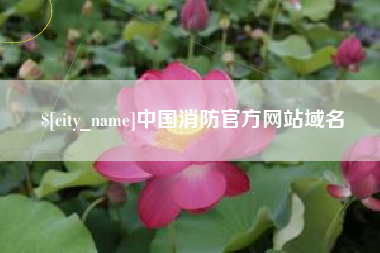 铜川中国消防官方网站域名
