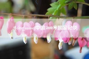 铜川中国5000米国家记录