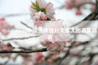 铜川中国金牌图片大全大图真实高清