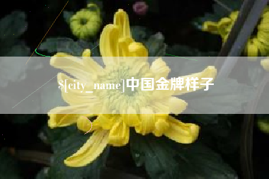 铜川中国金牌样子