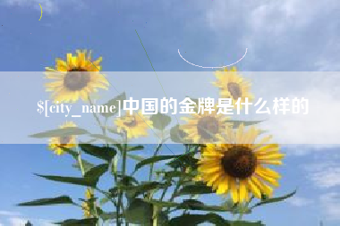 铜川中国的金牌是什么样的