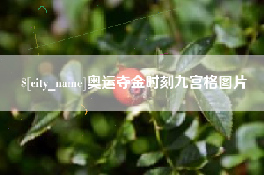 铜川奥运夺金时刻九宫格图片