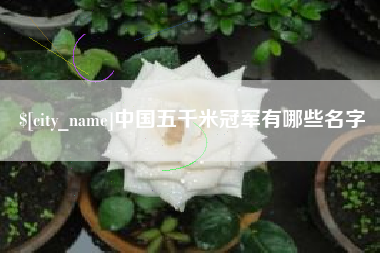 铜川中国五千米冠军有哪些名字